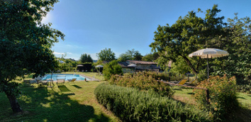 Some plants, and the swimming pool, in the park of the ancient Monastero
									San Silvestro Farmhouse